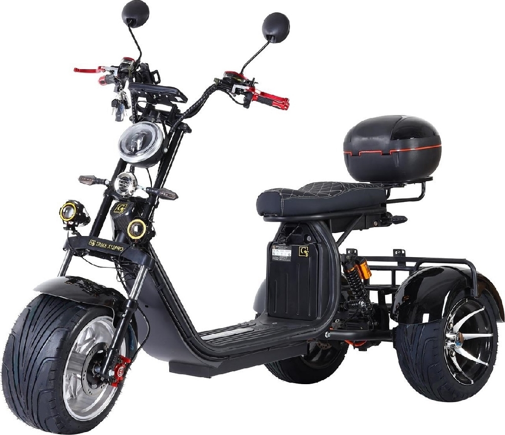 Трехколесный скутер GT Citycoco TRIKE GT-X12