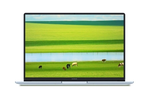 Ноутбук Honor MagicBook X14 Plus 2025(Intel Core 5 220H/32Gb/1Tb/Intel Graphics) 5301ALXY