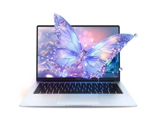 Ноутбук Honor MagicBook X14 Plus 2025(Intel Core 5 220H/32Gb/1Tb/Intel Graphics) 5301ALXY