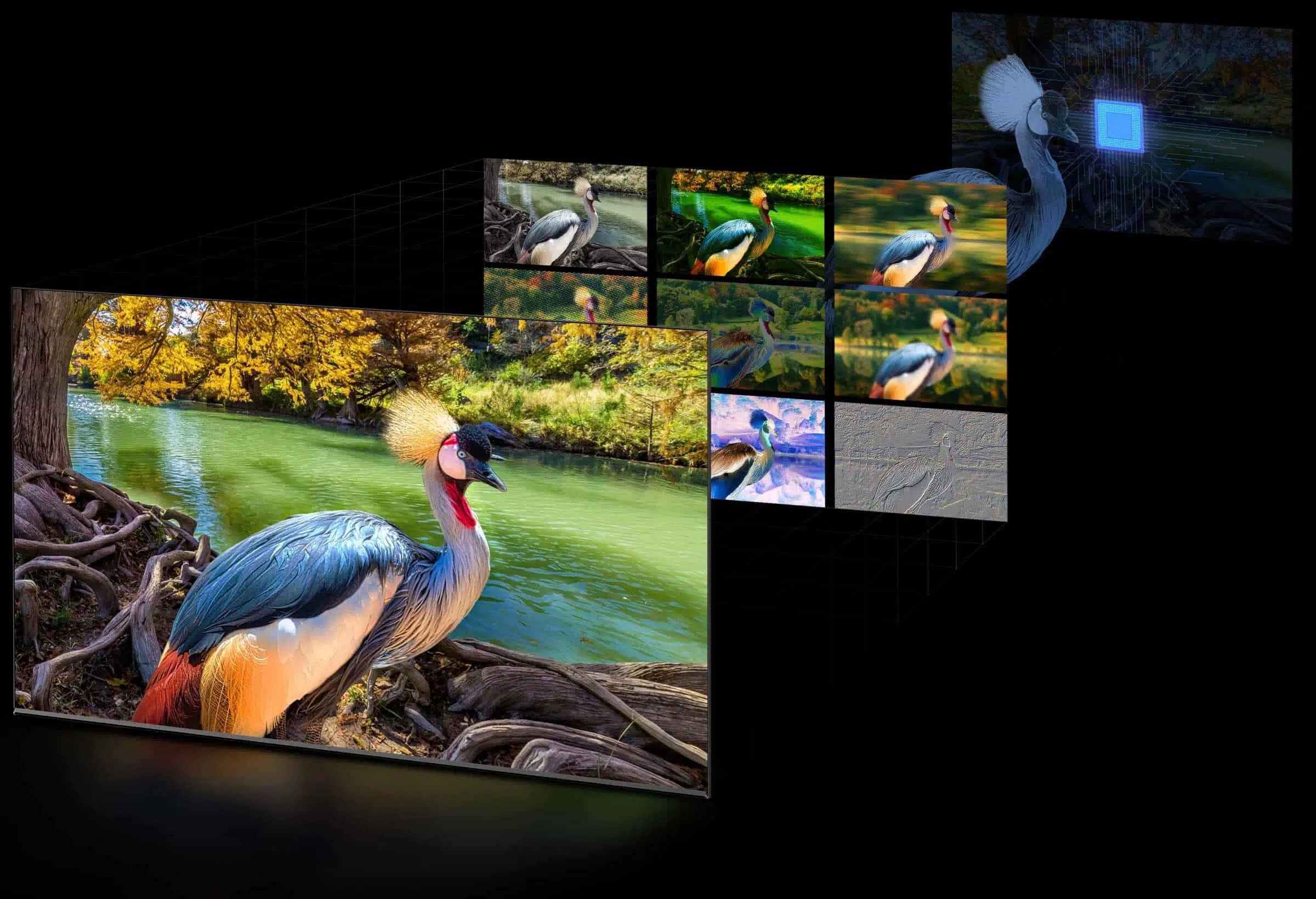 Телевизор TCL 55