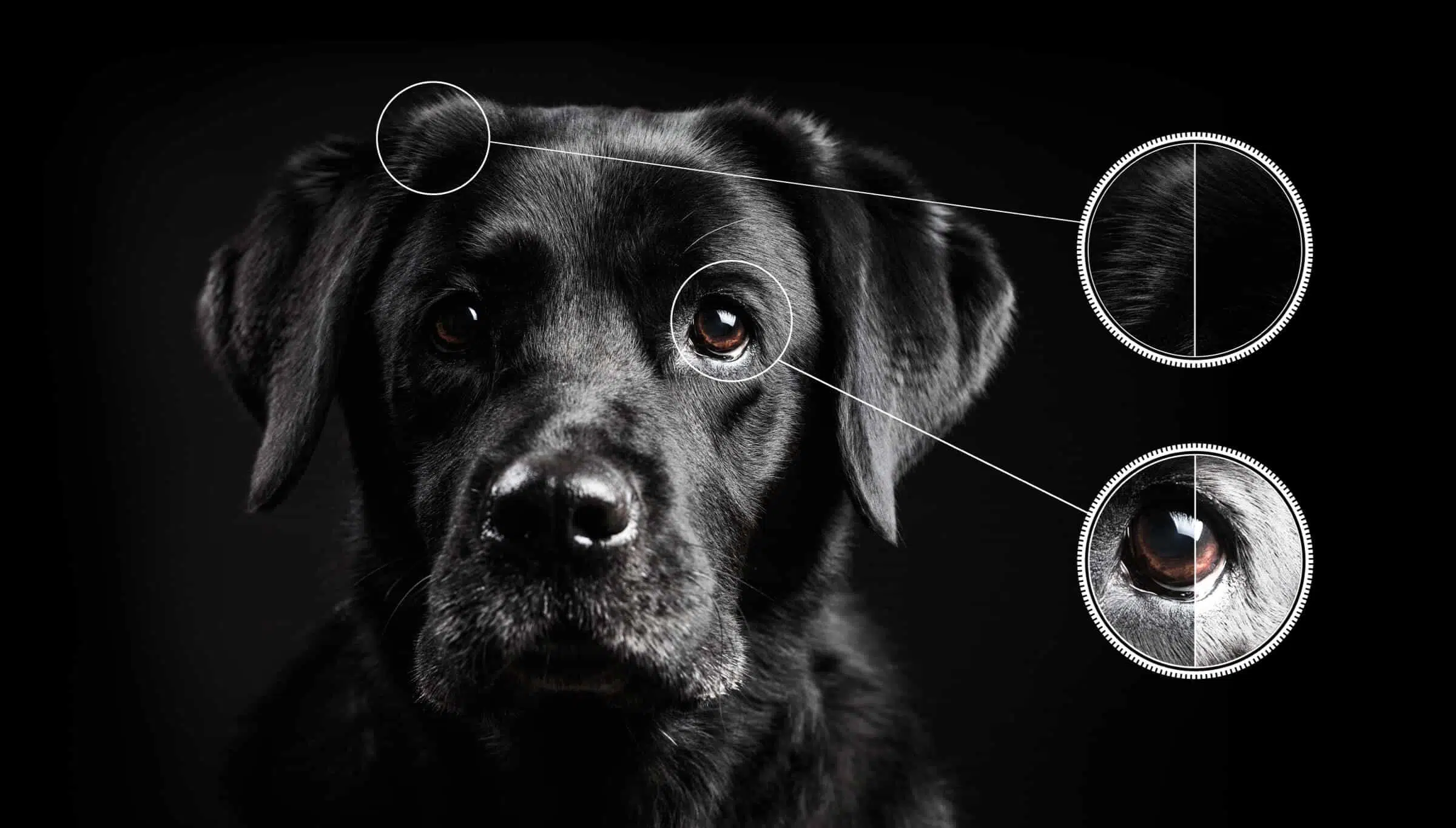 Телевизор TCL 55