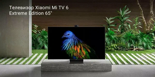Телевизор Xiaomi Mi TV 6 Extreme Editio 65
