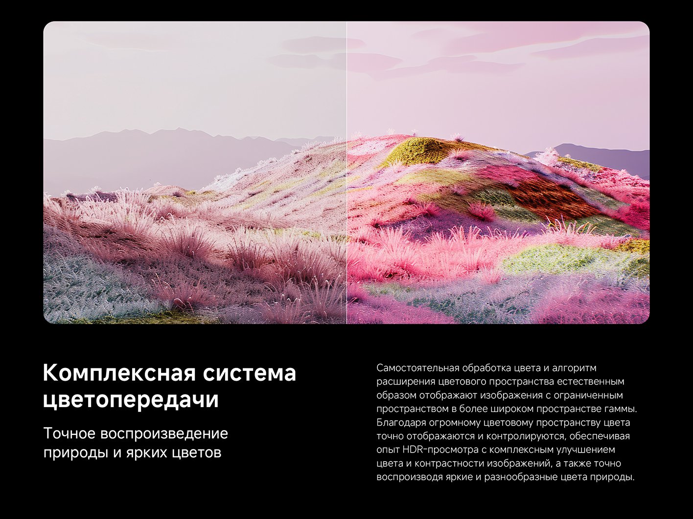 Телевизор Xiaomi TV S 75 Mini LED 2025 (global)